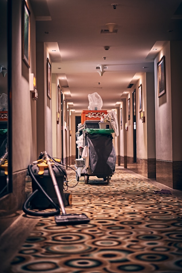 Pulizie professionali